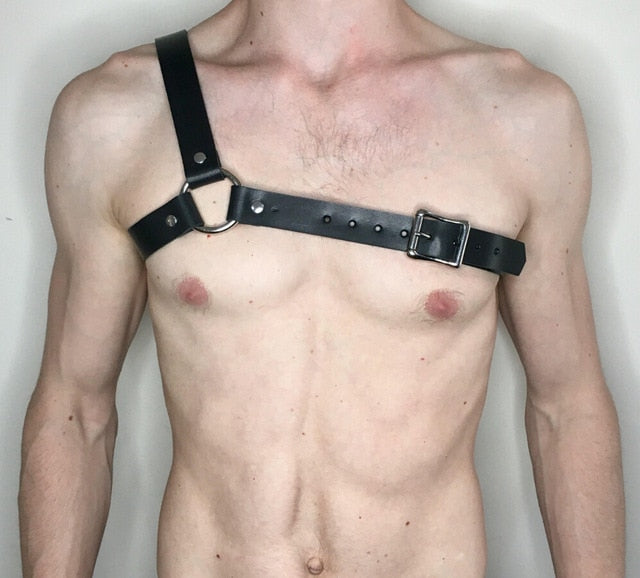 Dressy Leather Harness