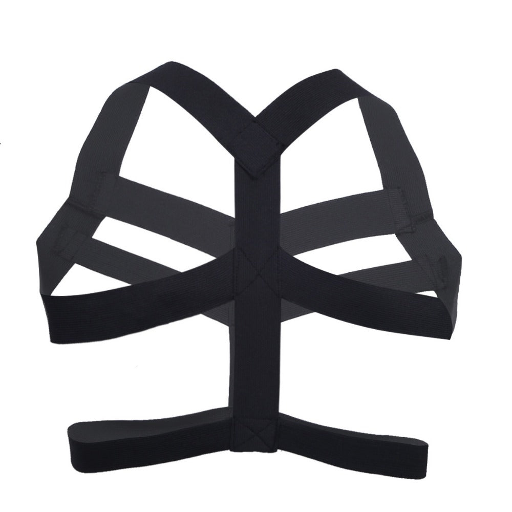 Fashion nylon harness