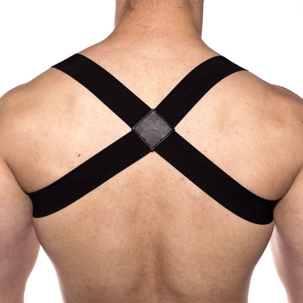 Prowler RED Sports Harness: Red / L/XL