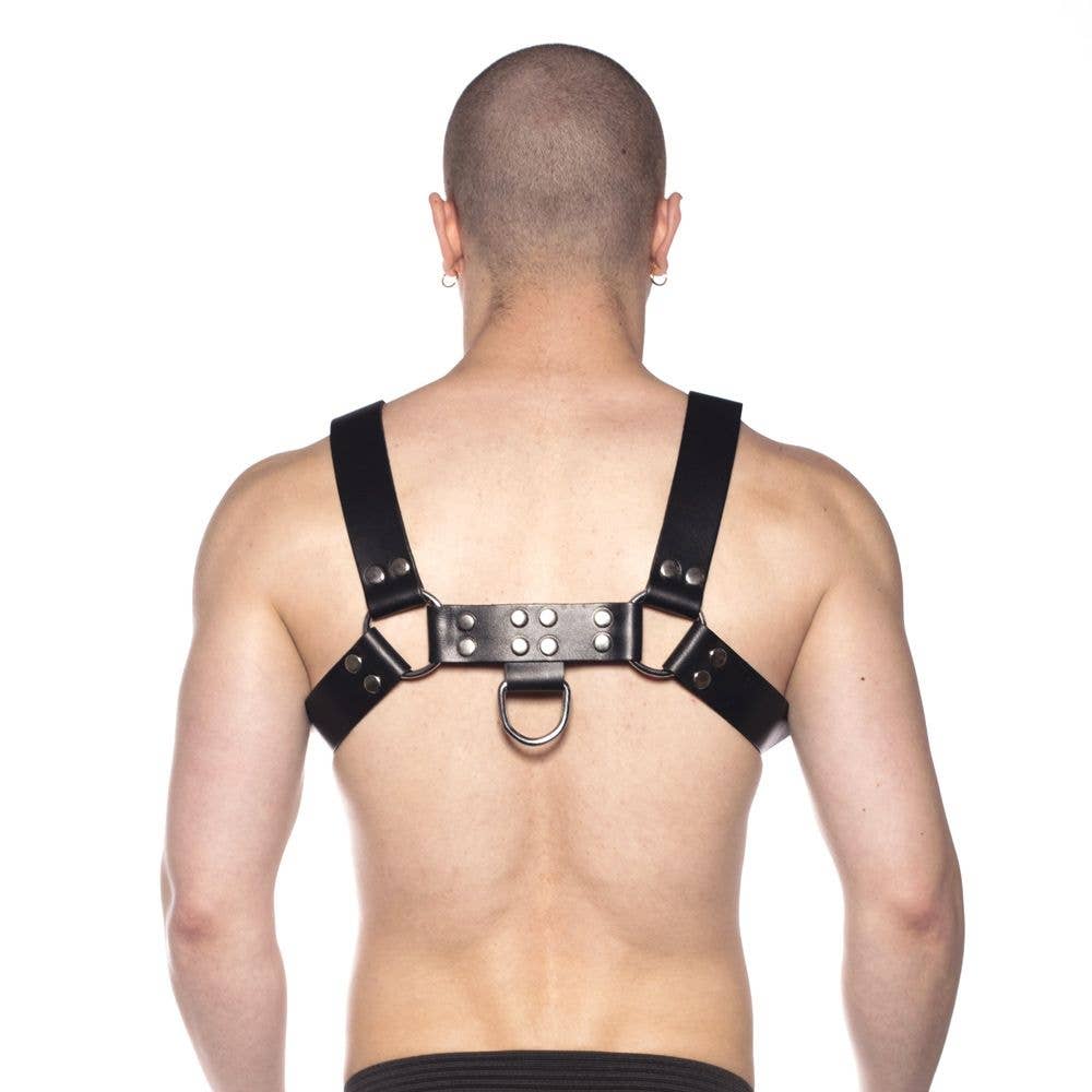 Prowler RED Butch Harness Schwarz/Silber: XL