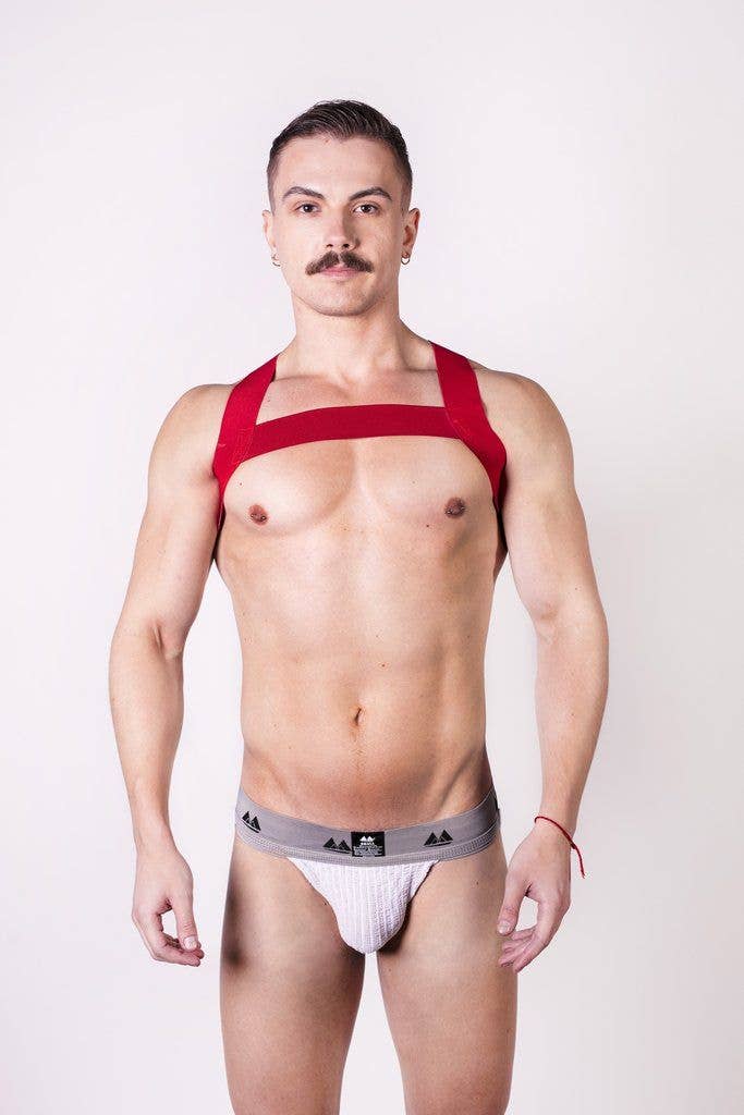 Prowler RED Sports Harness: Red / L/XL