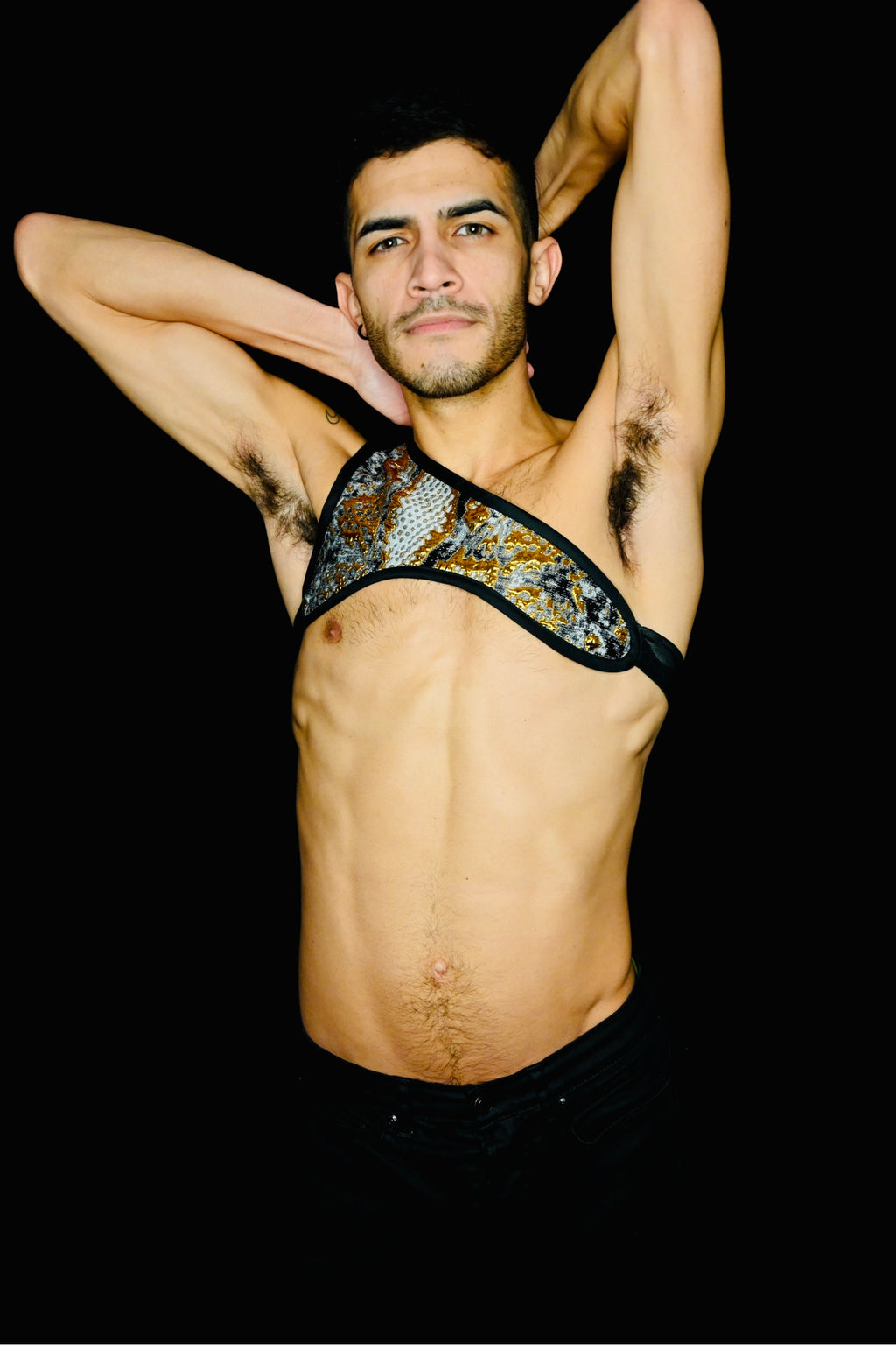 Signatur-Geschirr aus Brokat