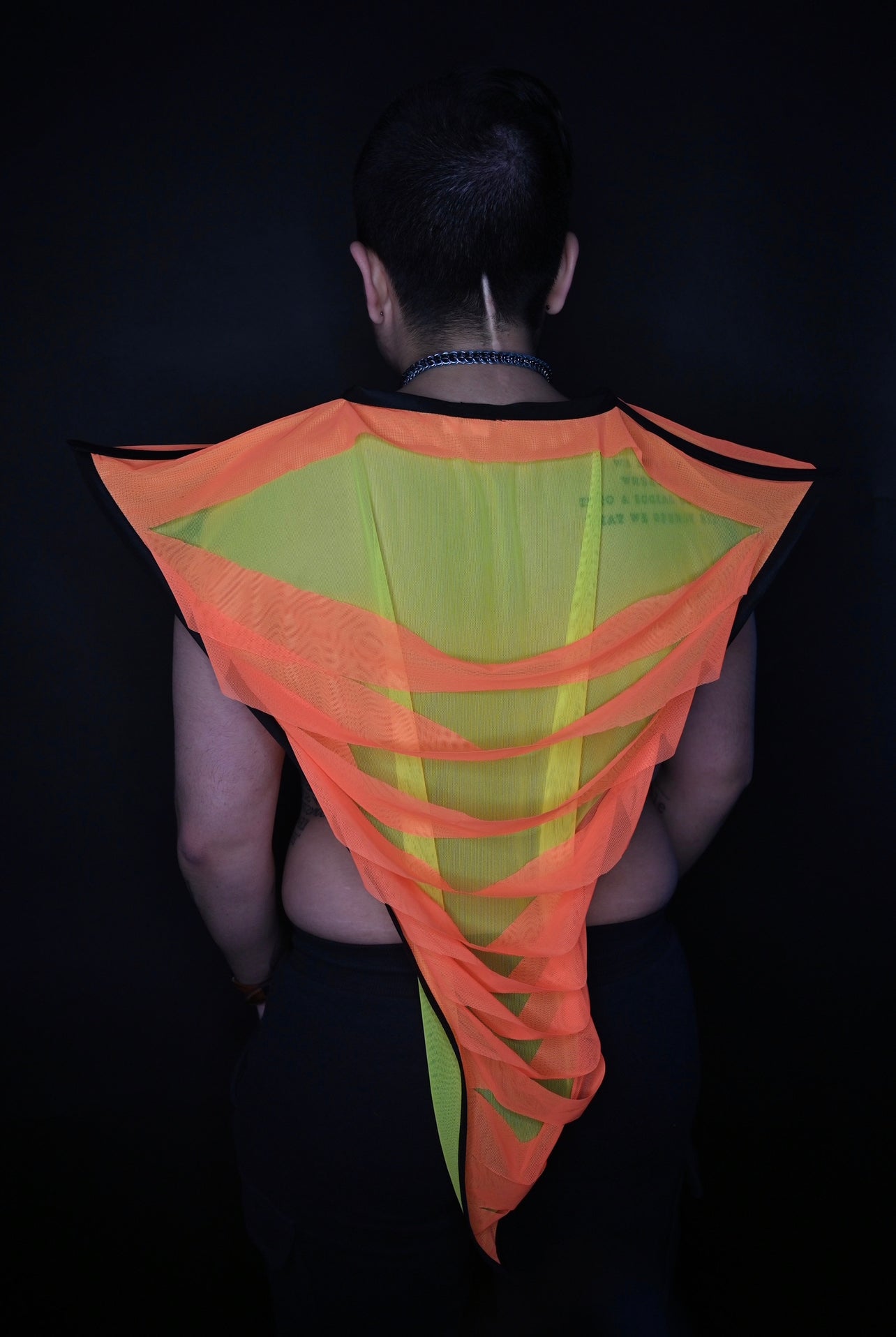 Shredded Vee – letzter Preisnachlass!