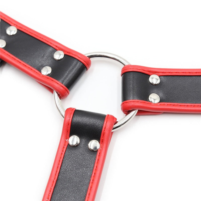 Red Black Leather Harness
