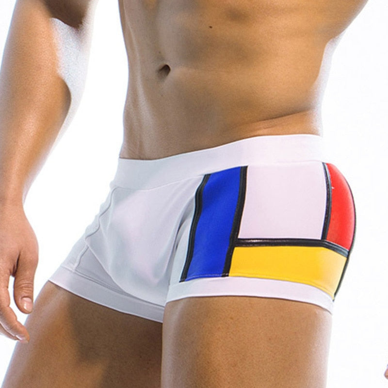 Color Swatch Swim Trunks