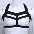 Fashion nylon harness